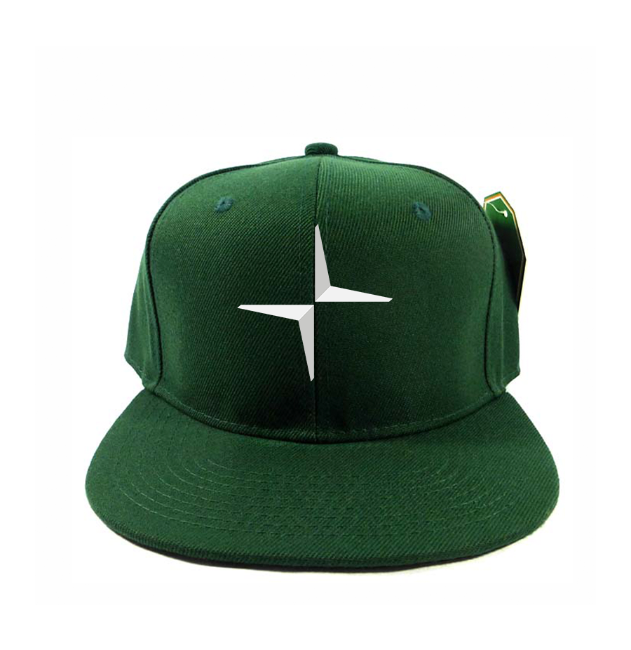 Polestar Electric Car Snapback Hat