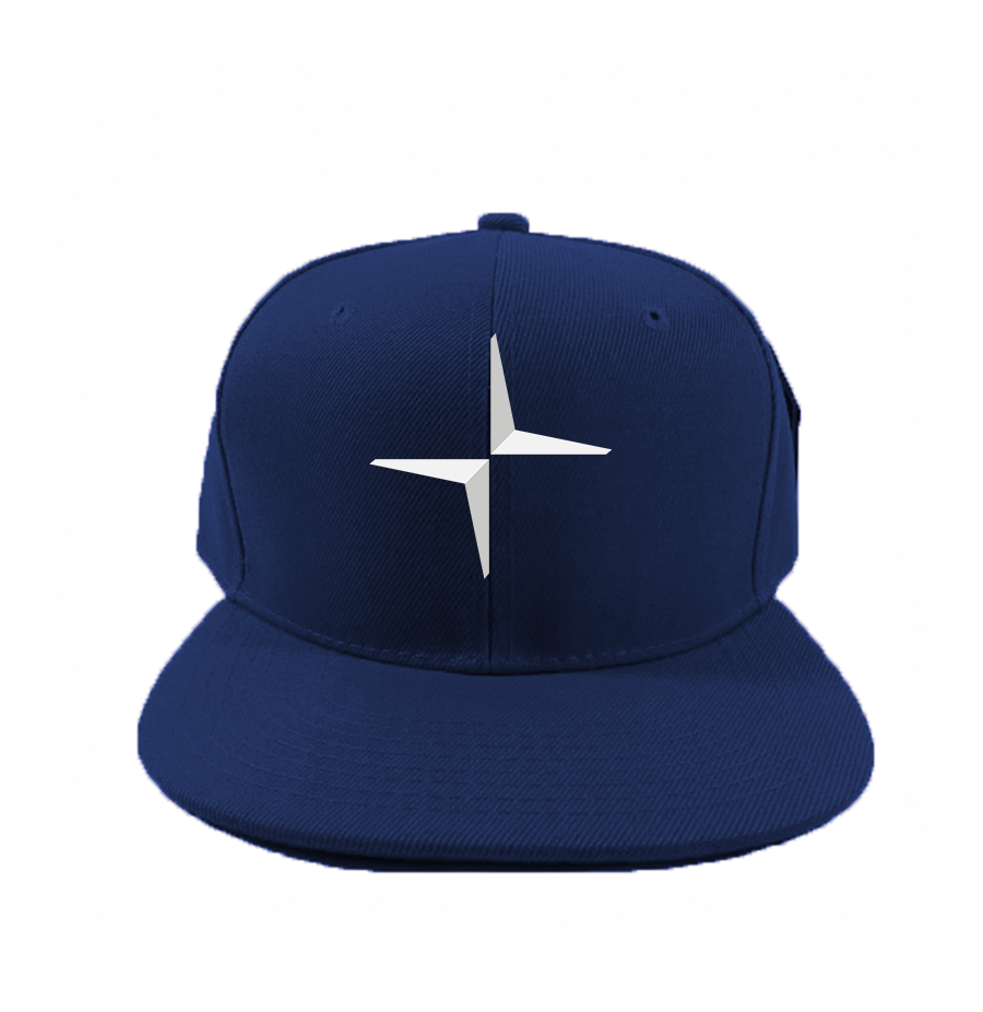 Polestar Electric Car Snapback Hat