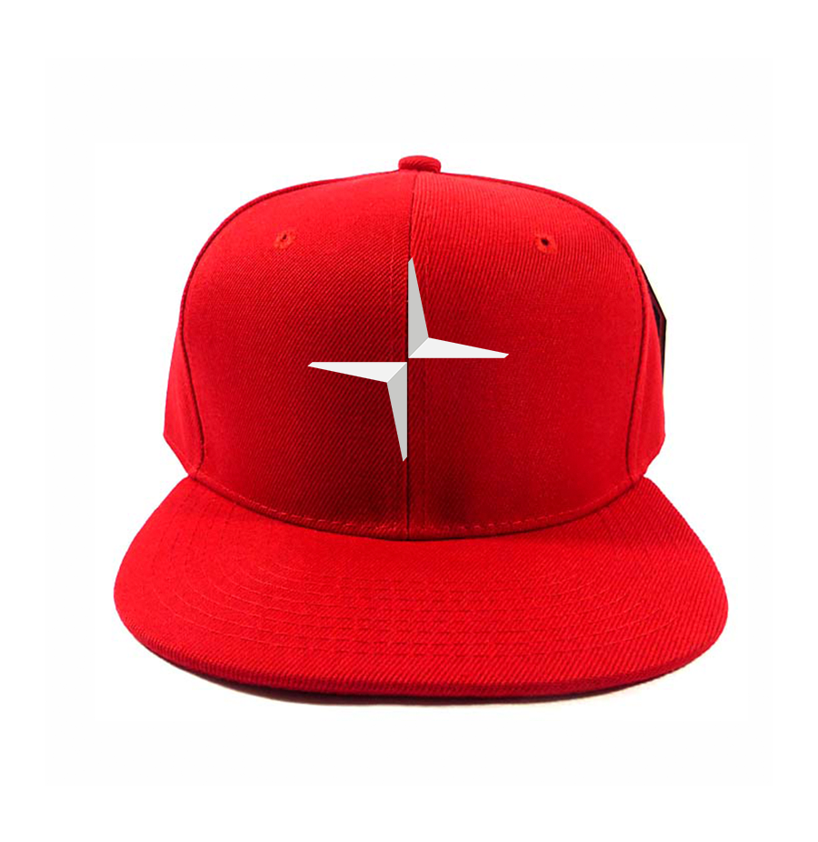 Polestar Electric Car Snapback Hat